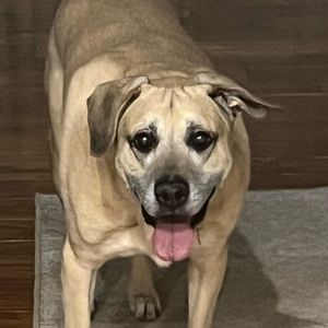 Meet your Posher, Angela